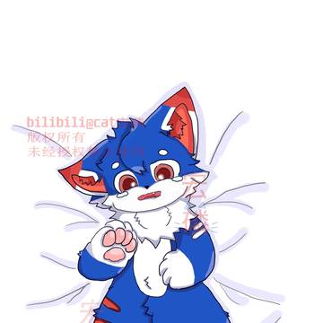 你要对猫猫做什么？(正常版)