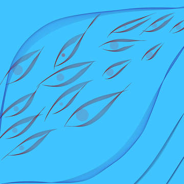 eye63