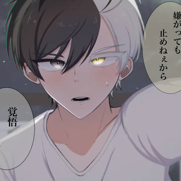 skr夢絵