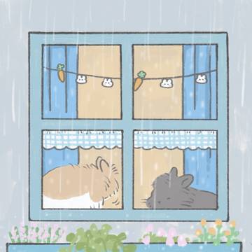 今日も雨☔️