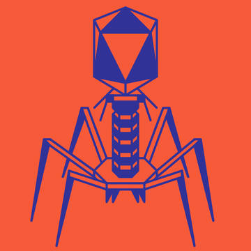 T2 Phage