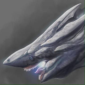 Shimo Redesign