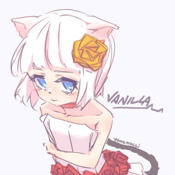 white rose cat