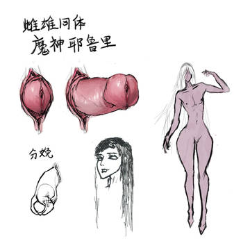 雌雄同体