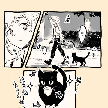 芥敦