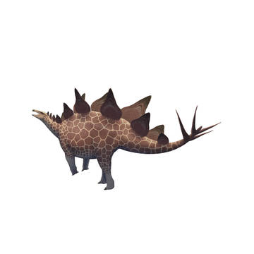 Stegosaurus stenops