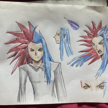 My kingdom hearts characters