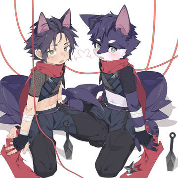 互补