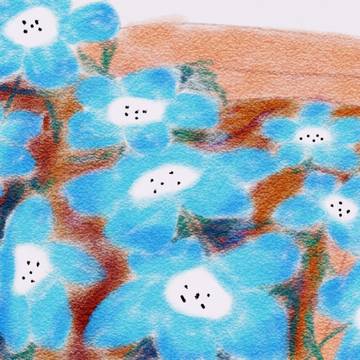 Favorite Flowers