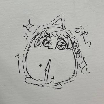 どやしーしー