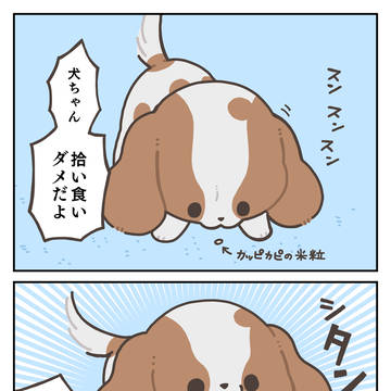 犬は何も知らんが