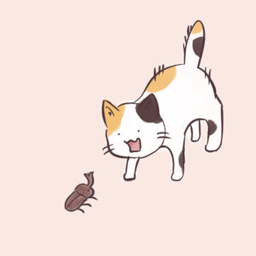 夏の敵