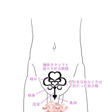 生殖器をモチーフとした淫紋とモザイクブラシのテスト