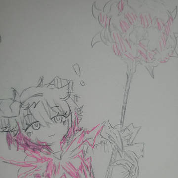 Limbus donquixote