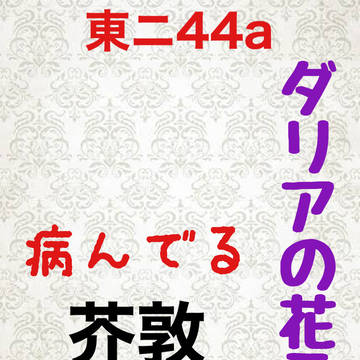 ジュンブラ新刊通販開始しました!