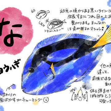 あいうえお魚お絵かき図鑑◆な行