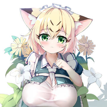 猫猫