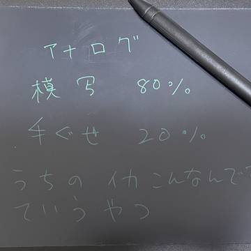 うちのイカ