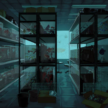水槽の部屋