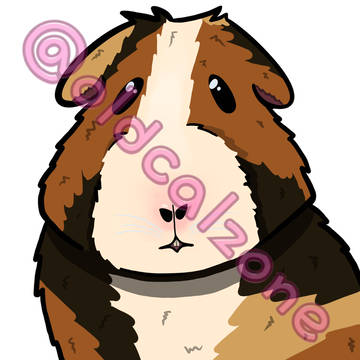guinea pig emote