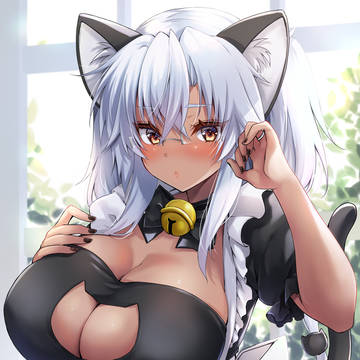 にゃんこメイド武蔵しゃん