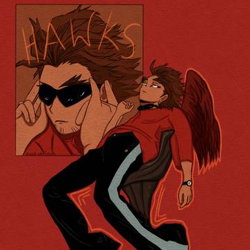 hawks 🪶