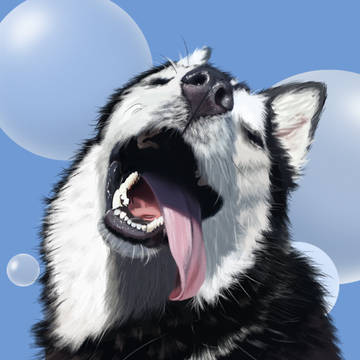 猫狗头像