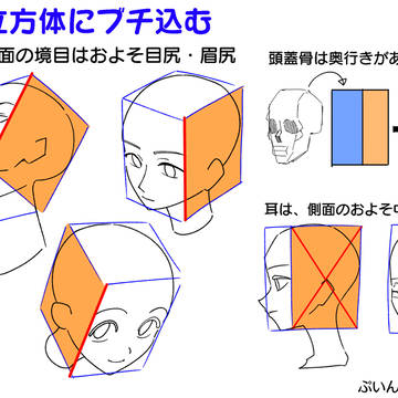 ペラペラな顔になるあなたへ。立方体へぶち込めば解決