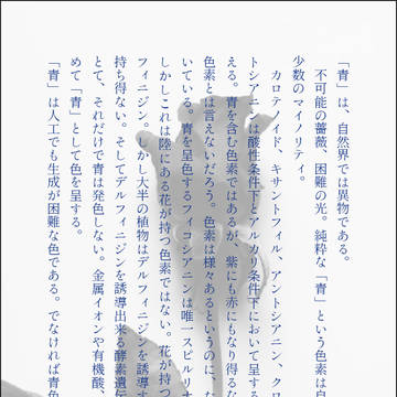 ssまとめ2