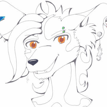 A cute wild dog