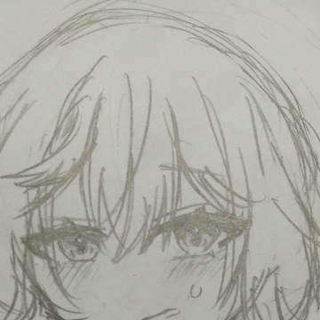 動画に使った魔理沙