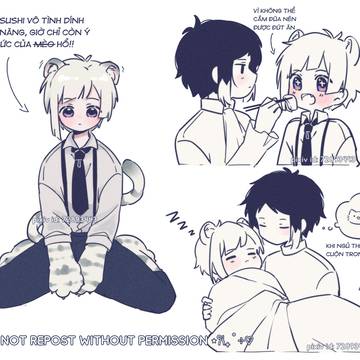 akat log 8