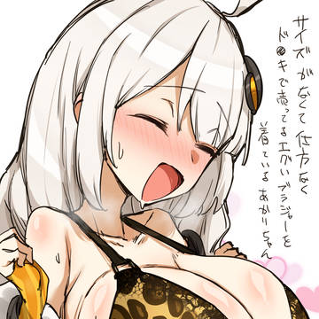５月中頃～５月末