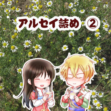 アルセイ詰め②