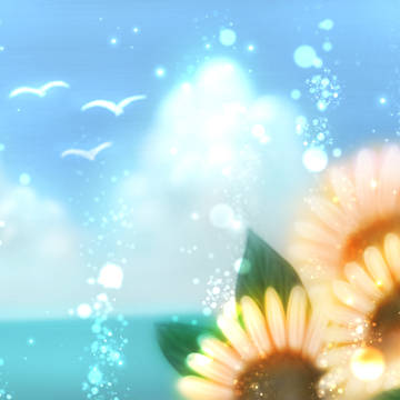 夏の音