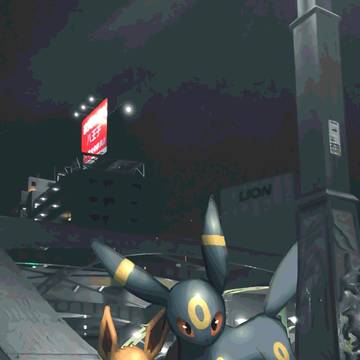 ブラッキーとイーブイ