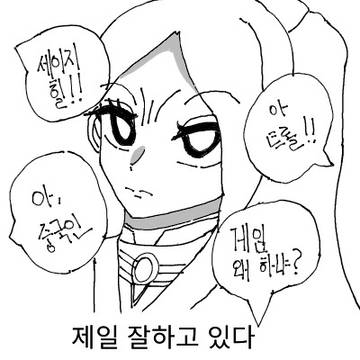 내가 세이지를 안하는 이유