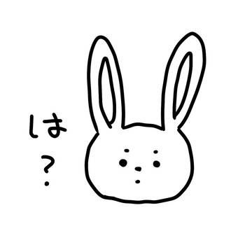 どーぶつかも