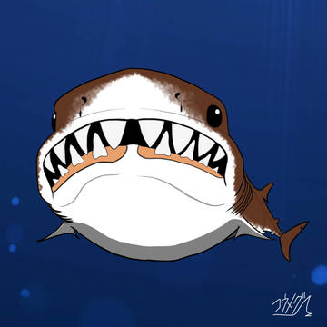 コウメグ🦈