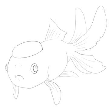 線描いたの