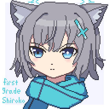 シロコ（一年生のすがた）