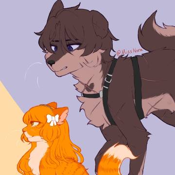 犬猫のヒスイシュ