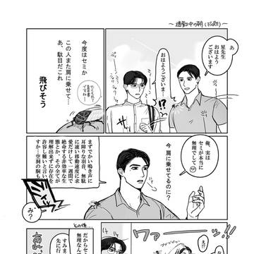 セミ