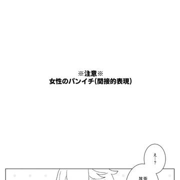 【BSI】mirroring【交流】