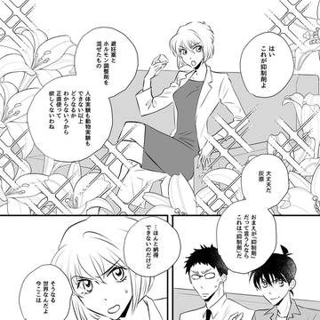 DC ふたりはプリキュア その10