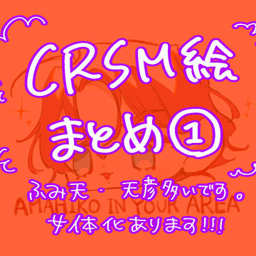 crsmまとめ1