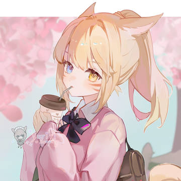 猫