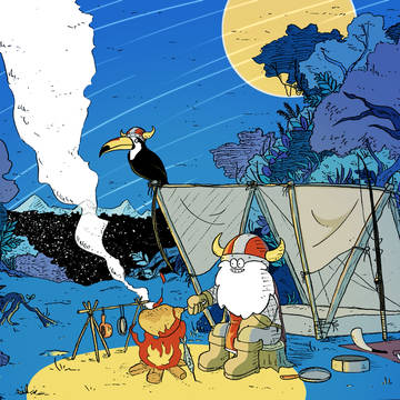 Camping with bird