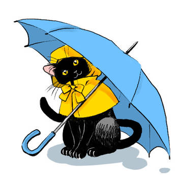 雨猫