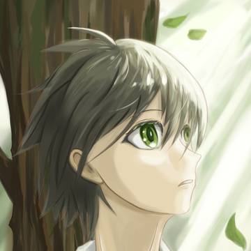 Light in the woods